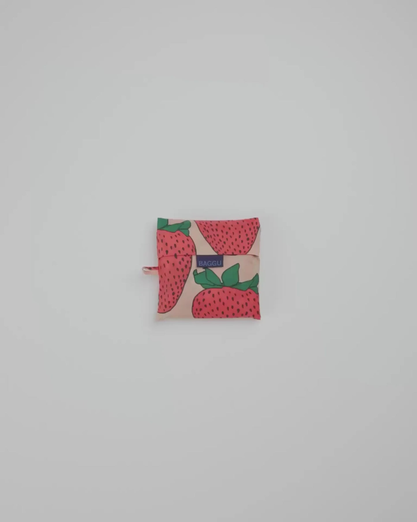 BIG BAGGU - US 2127