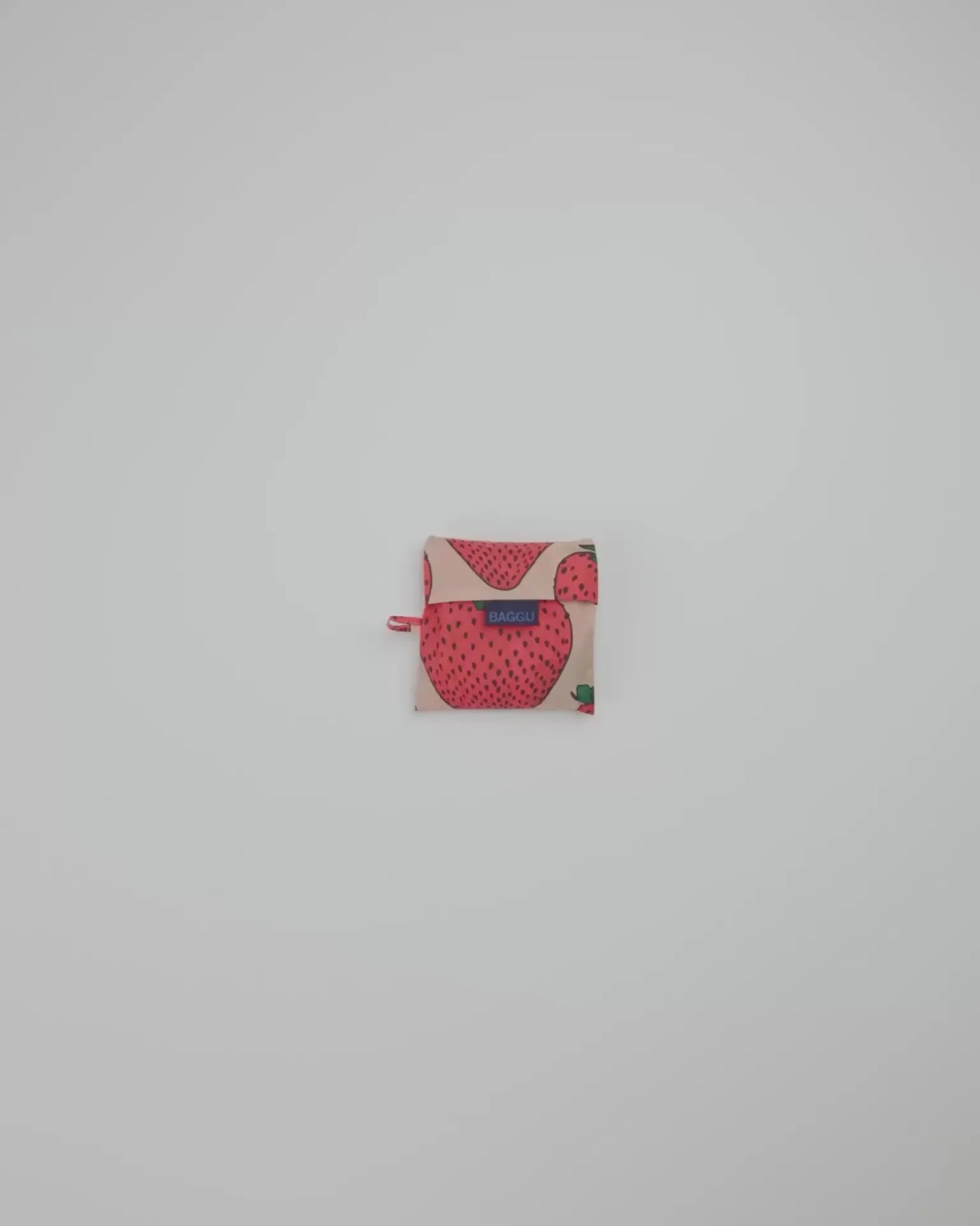 STANDARD BAGGU - US 2235